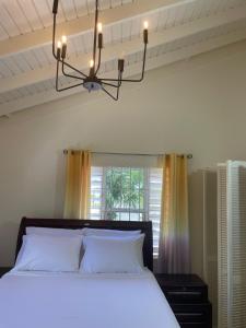 Falmouth Trelwany Stonebrook Manner