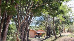 Canto das Árvores - Nova União MG