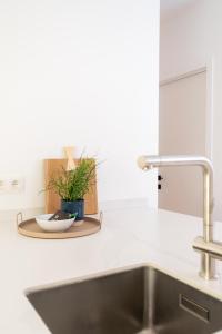 Spacious City Getaway for 8 in Antwerp