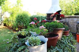 Apartments Cavae Romanae