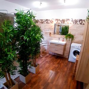 V Domečku Jáchymov