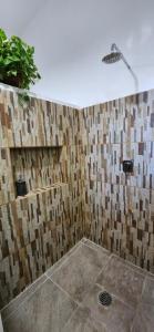 Loft Colibrí en Centro Histórico Carmen