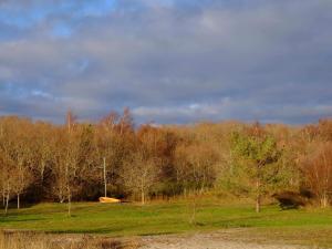 8 person holiday home in Ebeltoft