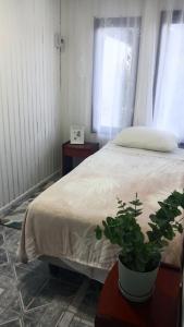 Casa centro de Villarrica