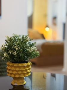 Loft in the Heart of the Historic Center