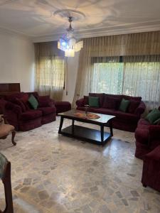 Abdoun ground floor apartment