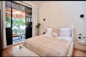 Luxurious Villa with 9 BR and HUGE Terrace Condesa