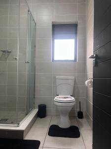 Ace Sandton apartment