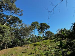Finca Buenavista Sasaima