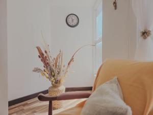 Balcón Botánico I Chula Vista