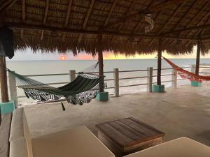 Artola Beach Rentals Advisors