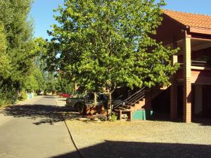 Apart Hotel Punto Real