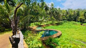 Villa Springwater Dellawa