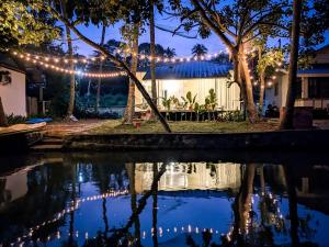 Lakefront 1 BR Cabin with Lake access & Hammock