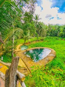 Villa Springwater Dellawa