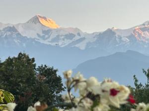 Hotel Pristine Himalaya
