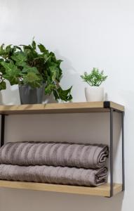 Cityscape Studio Apartment