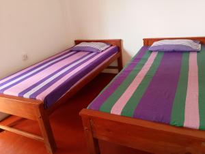 Freedom Lodge
