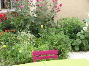 Appartements Le Jardin croix Roussien : photos des chambres