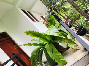 Ritigala Nature Villa