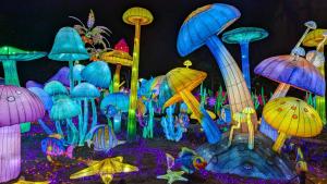 Studio rez de chaussée avec terrasse centre thermal et touristique - Casa Amnéville