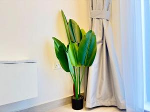 Majestic 2 BHK Park view at Liwan 2- Dubai