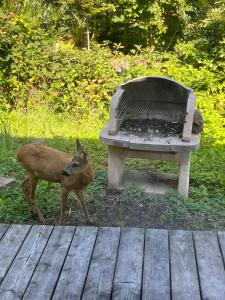 Chalet Gaby - chalet atypique avec SPA