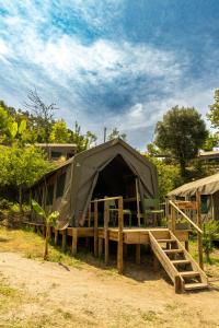 Safari Glamping Portugal Elephant