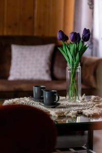 Spacious House For Families Szczyrk in the Mountains by Noclegi Renters