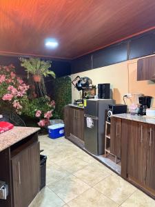 Cozy Apartment 8 minutes from Downtown David - Private Entrance Garden