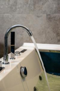 Apartment & Spa PRIVATE HOT TUB Central Berlin