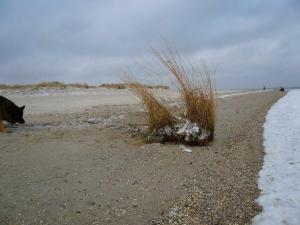 Apartment Korthals 42