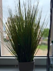 Appartement Neunkirchen City