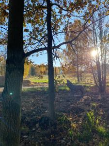 Kino na łące - apartament z prywatną salą kinową