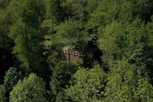 Lodge en pleine foret domaniale