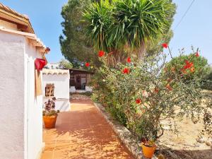 Casa do Avô António