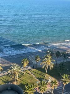 Marinador Josmar - Oropesa