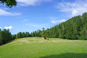 Luxury Chalet Giulia