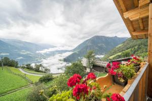 Waldes Duft Apartment - Patleidhof