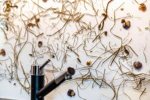 Haughof Apartement Blumenwiese