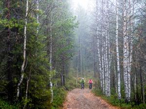 Holiday Cabin Levi Base Camp - North side