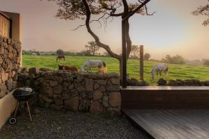 Jeju Bongsung Noeul Dam