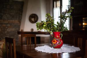 Appartamento Oleandro