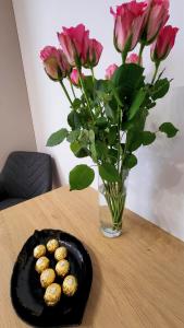 Apartament Anna przy Starówce