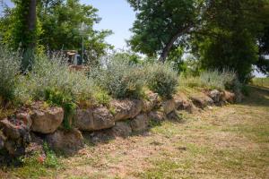 Agriturismo Bio Terre di Naioli