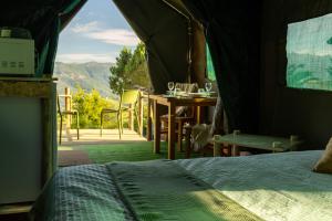 Safari Glamping Portugal Gazelle