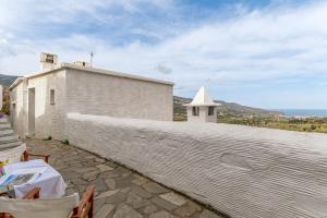 Olive Guesthouse Junior