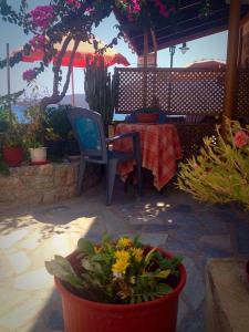 Spiros Apartments Tílos Greece