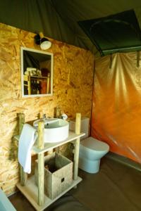 Safari Glamping Portugal Flamingo