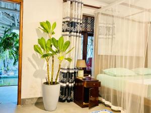 Surfing Lion Villa Hiriketiya